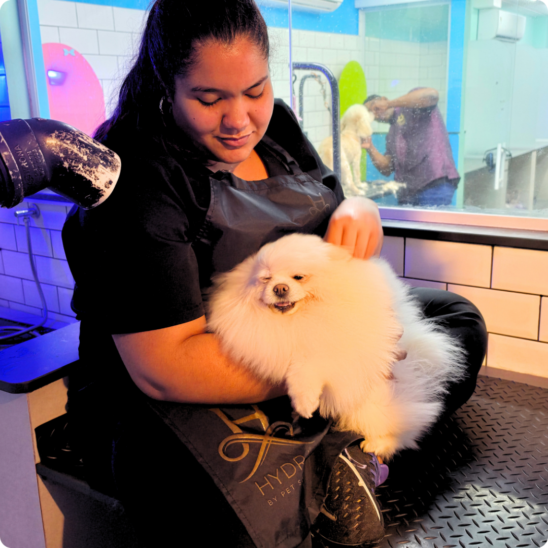 Doguinho tomando banho no Clube04